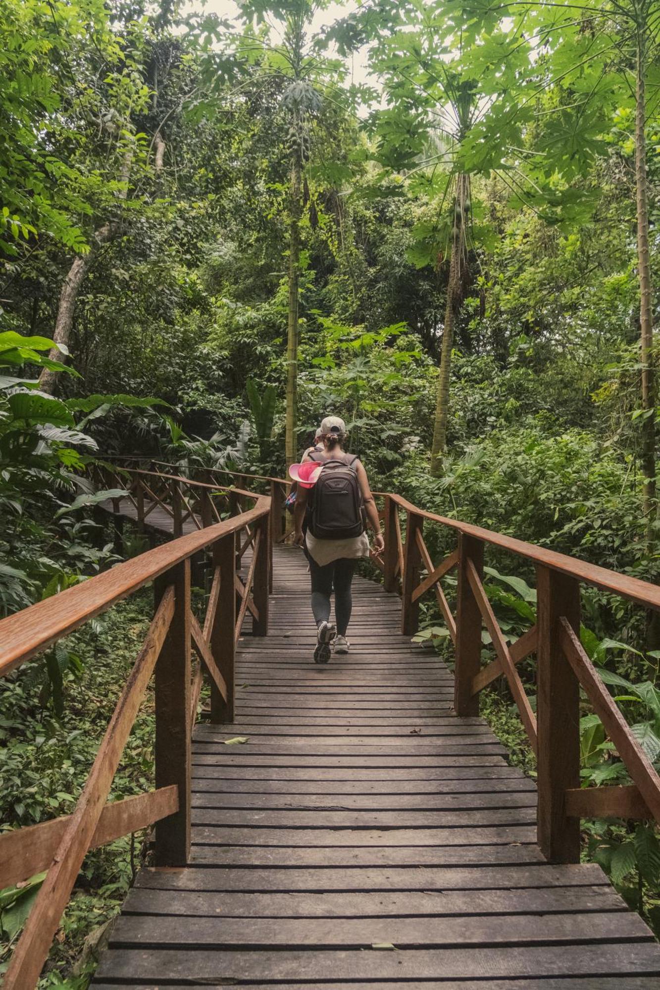 Ecohotel Yachay Tayrona Dentro Del Parque Tayrona El Zaino Exteriér fotografie