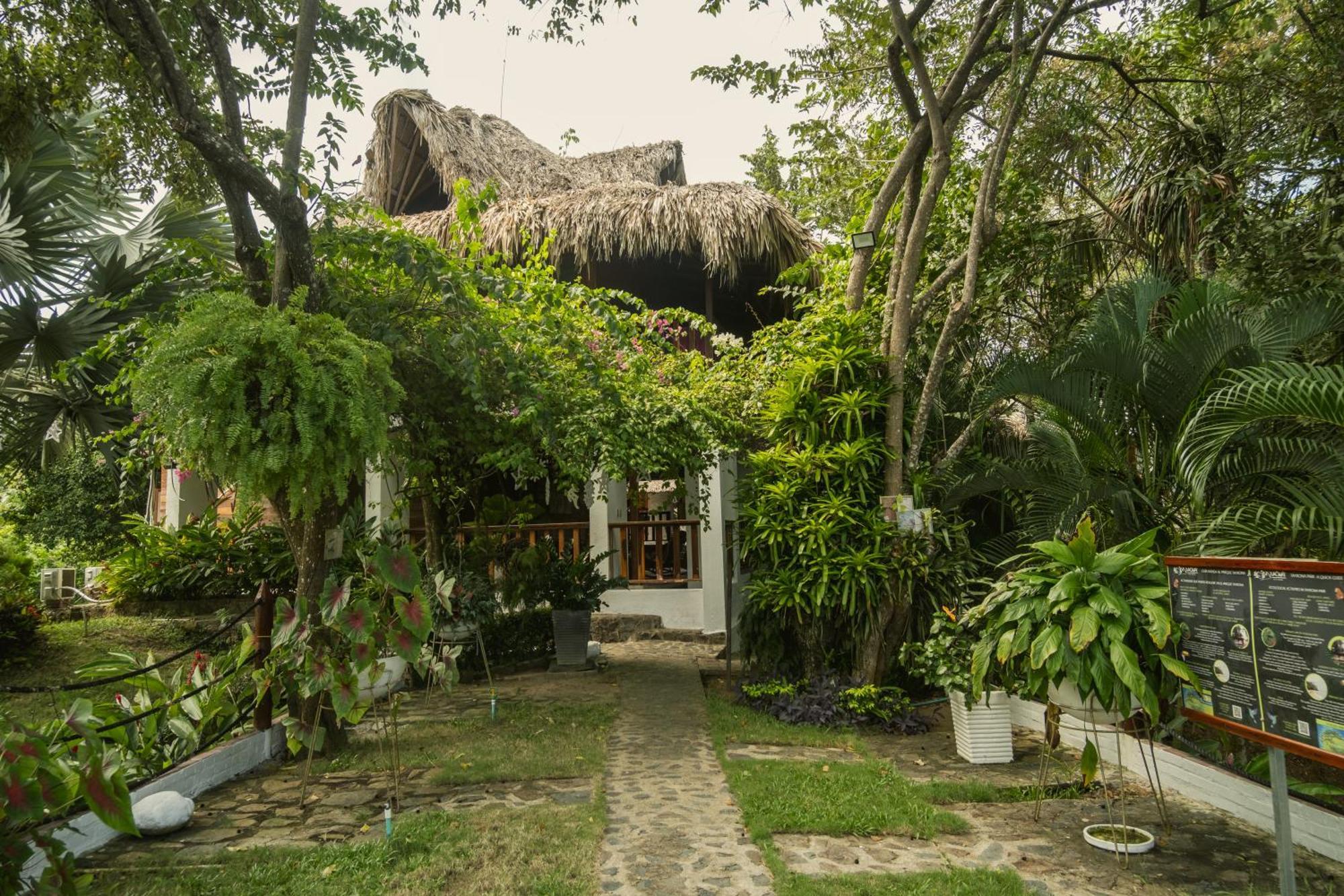 Ecohotel Yachay Tayrona Dentro Del Parque Tayrona El Zaino Exteriér fotografie